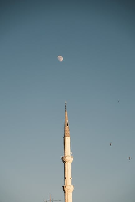 The Role of Pets in Ancient Astronomy